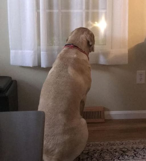 When love sits by the window and waits
