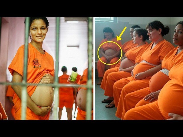 Female Maximum-Security Prison Inmates Become Pregnant One by One. Then, a SECRET Camera Reveals…